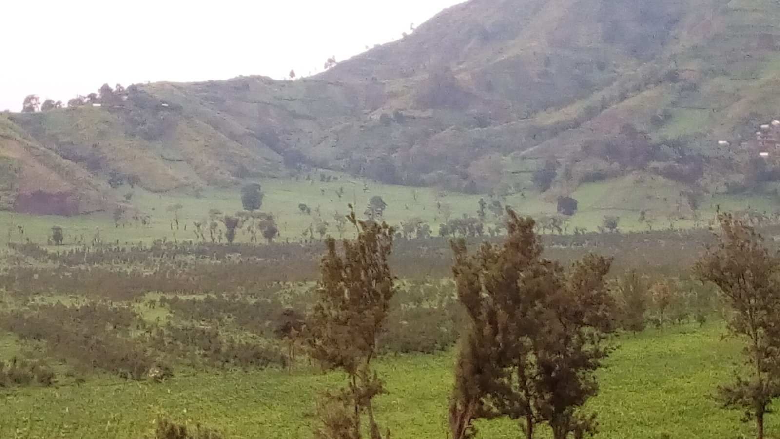 Ingredient supply update